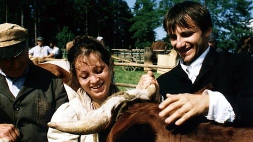The Cow