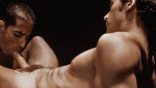 My Big Fucking Dick: Aiden Shaw