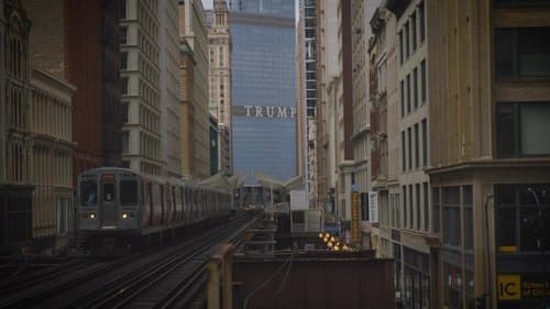 Why Trump?