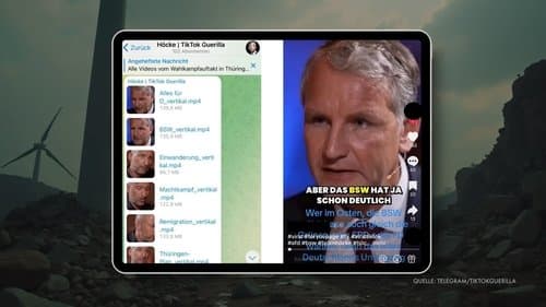 The TikTok-Army of the AfD