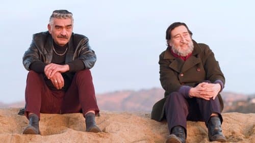 The Wild Years
