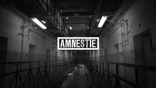 Amnesty