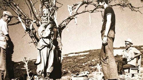 Gökçe Çiçek