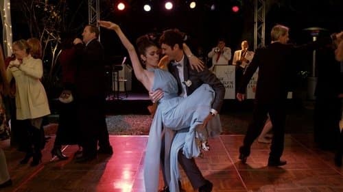 The Wedding Party