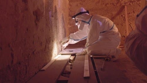 Scanning The Pyramids