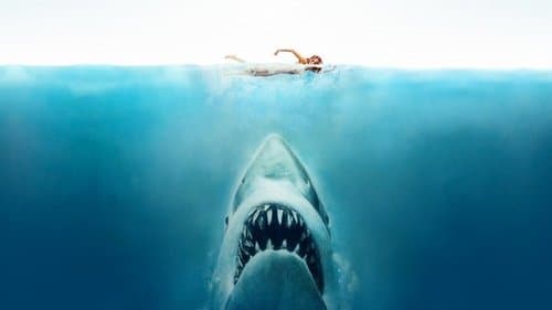 Les dents de la mer, l'histoire d'un succès monstre