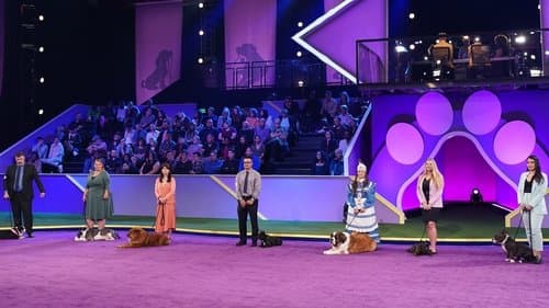 2022 American Rescue Dog Show