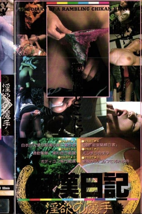 In'yoku no mashu chikan nikki