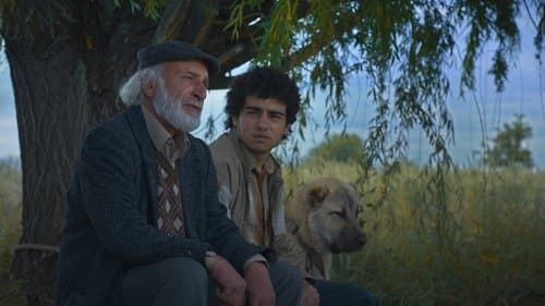 Island Ararat