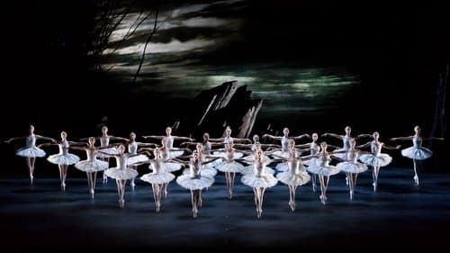 Swan Lake