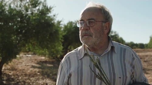 Camino de la suerte