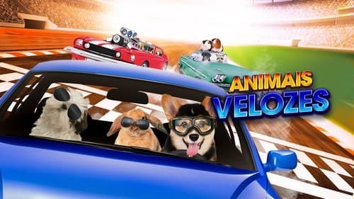 Fast and Furriest