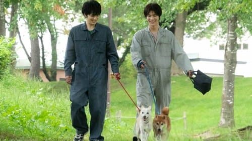 Inubu: The Dog Club