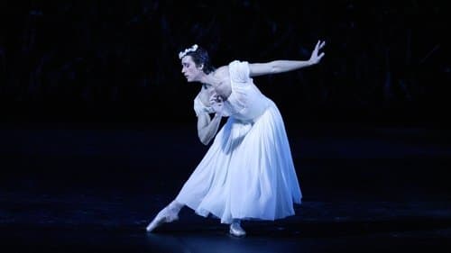 Bolshoi Ballet: The Bright Stream