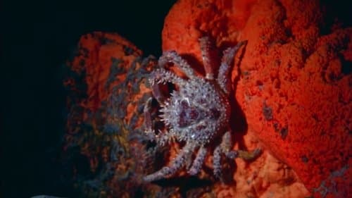 Undercurrents