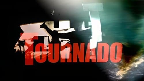 The All-American Rejects: Tournado