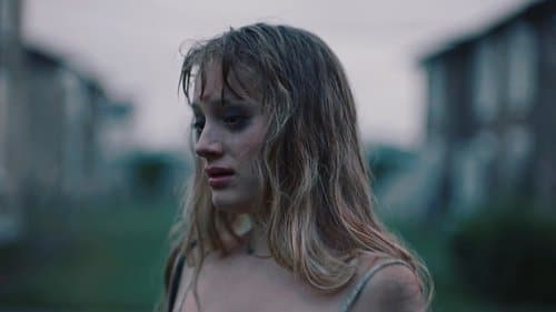 A Night in the Fields