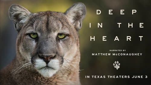 Deep in the Heart: A Texas Wildlife Story