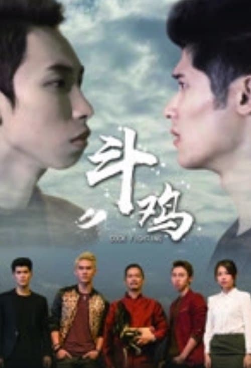 斗鸡