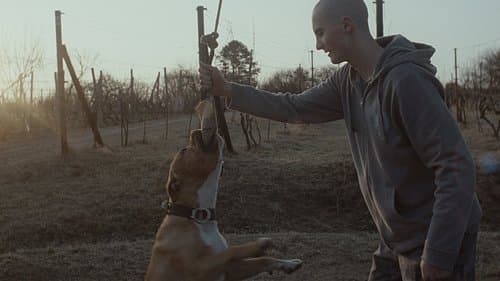 My Dog Killer