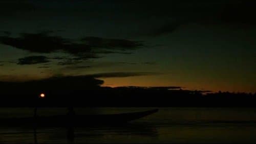 The Journey of Stars Into the Dark Night