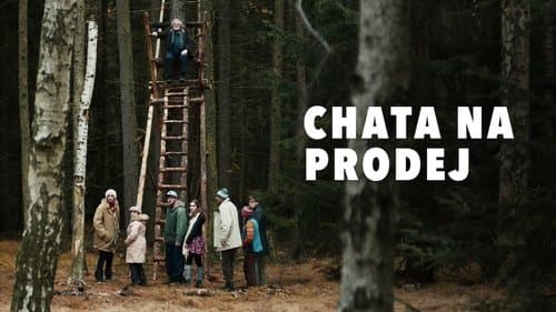 Chalet for sale