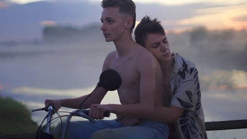 A Night in the Fields
