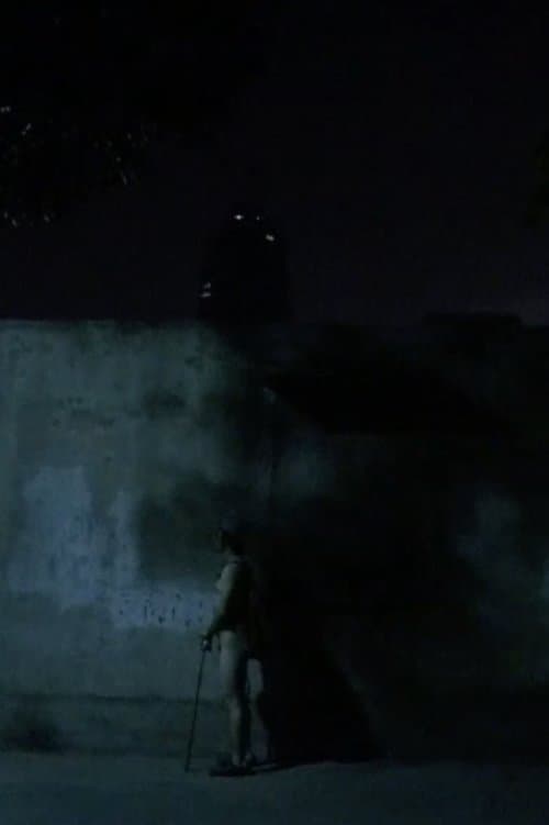 Right Night / Larva Night