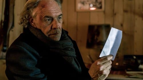 Money. Murder. Zurich.: Borchert and the icy death