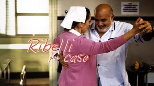 Ribelli per caso