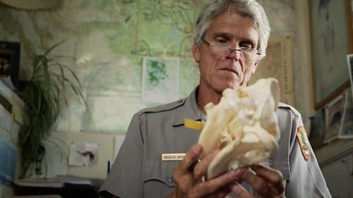 The Trouble with Wolves