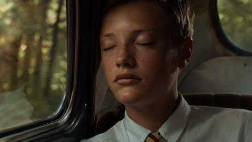 Escape Into the Wild