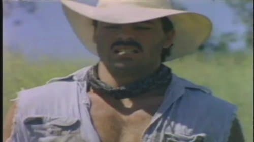 Cowboy Country