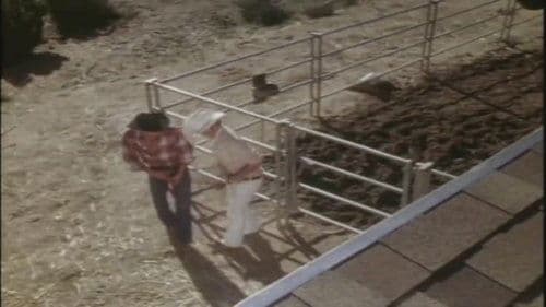 Cowboy Country
