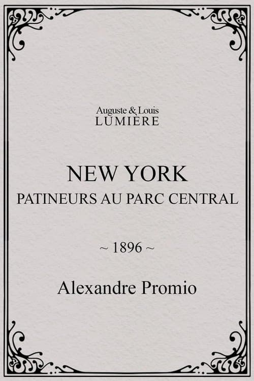 New York, patineurs au Parc central