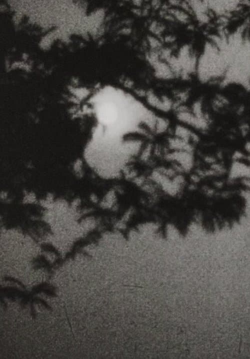 Moonplay
