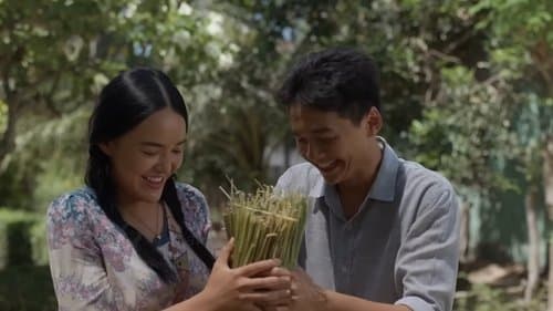 Kupu-Kupu Kertas
