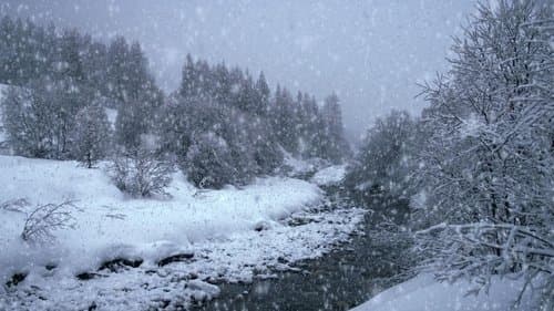The Search for Snow