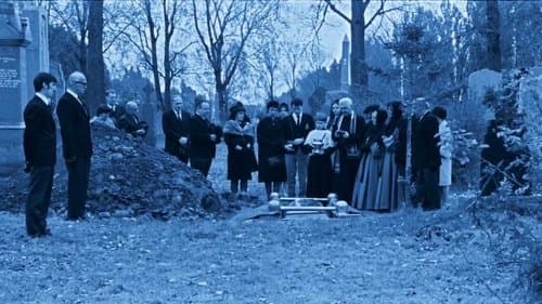 Les vautours