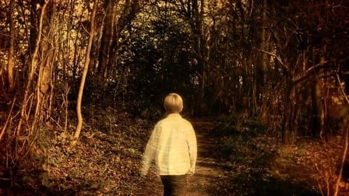 Porcupine Tree: Never Stop the Car on a Drive in the Dark