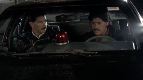Perros de la ley