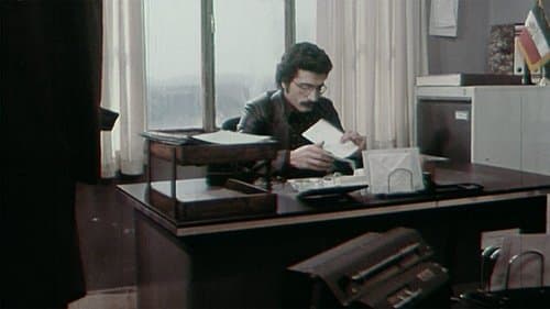 The Report
