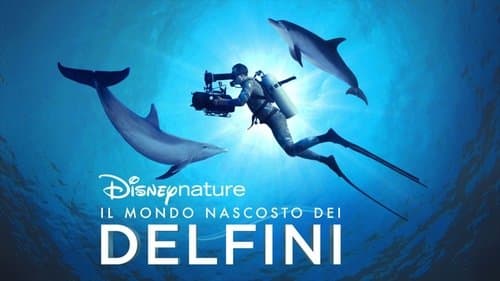 Diving with Dolphins