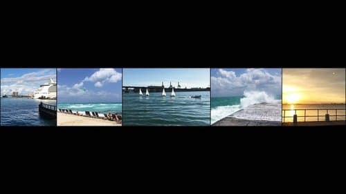 Miami In Movements
