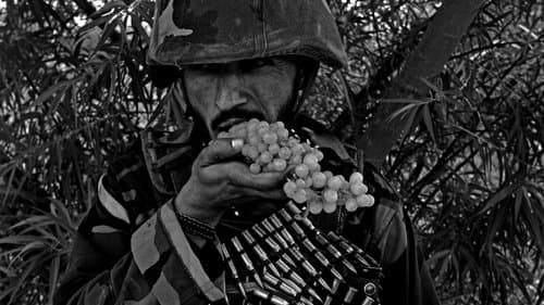 Kandahar Journals
