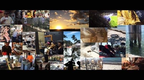 Miami In Movements