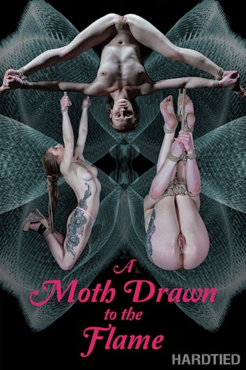 A Moth drawn to the Flame
