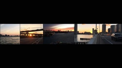 Miami In Movements