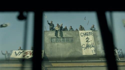 Amnesty
